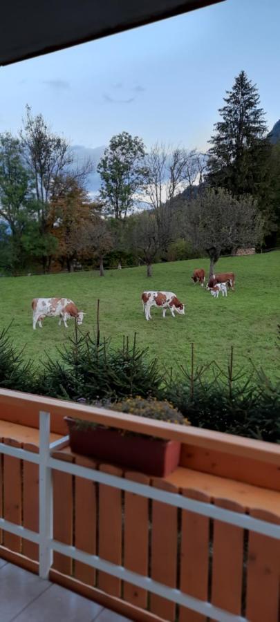 Apartma Rozle Mojstrana Kültér fotó
