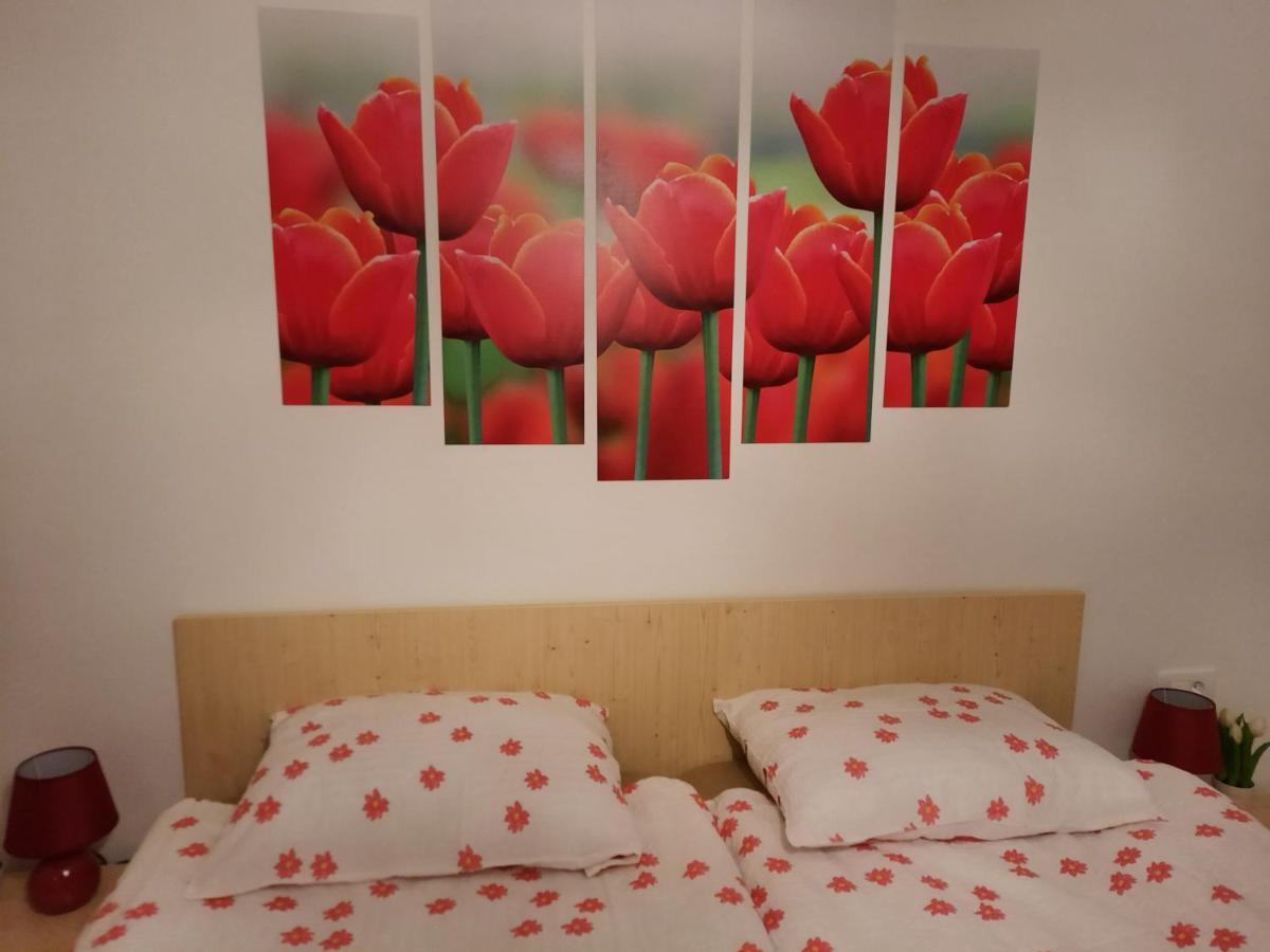 Apartma Rozle Mojstrana Kültér fotó