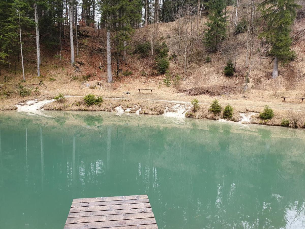 Apartma Rozle Mojstrana Kültér fotó