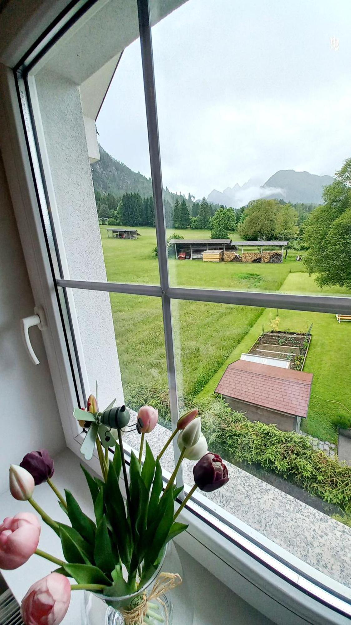 Apartma Rozle Mojstrana Kültér fotó