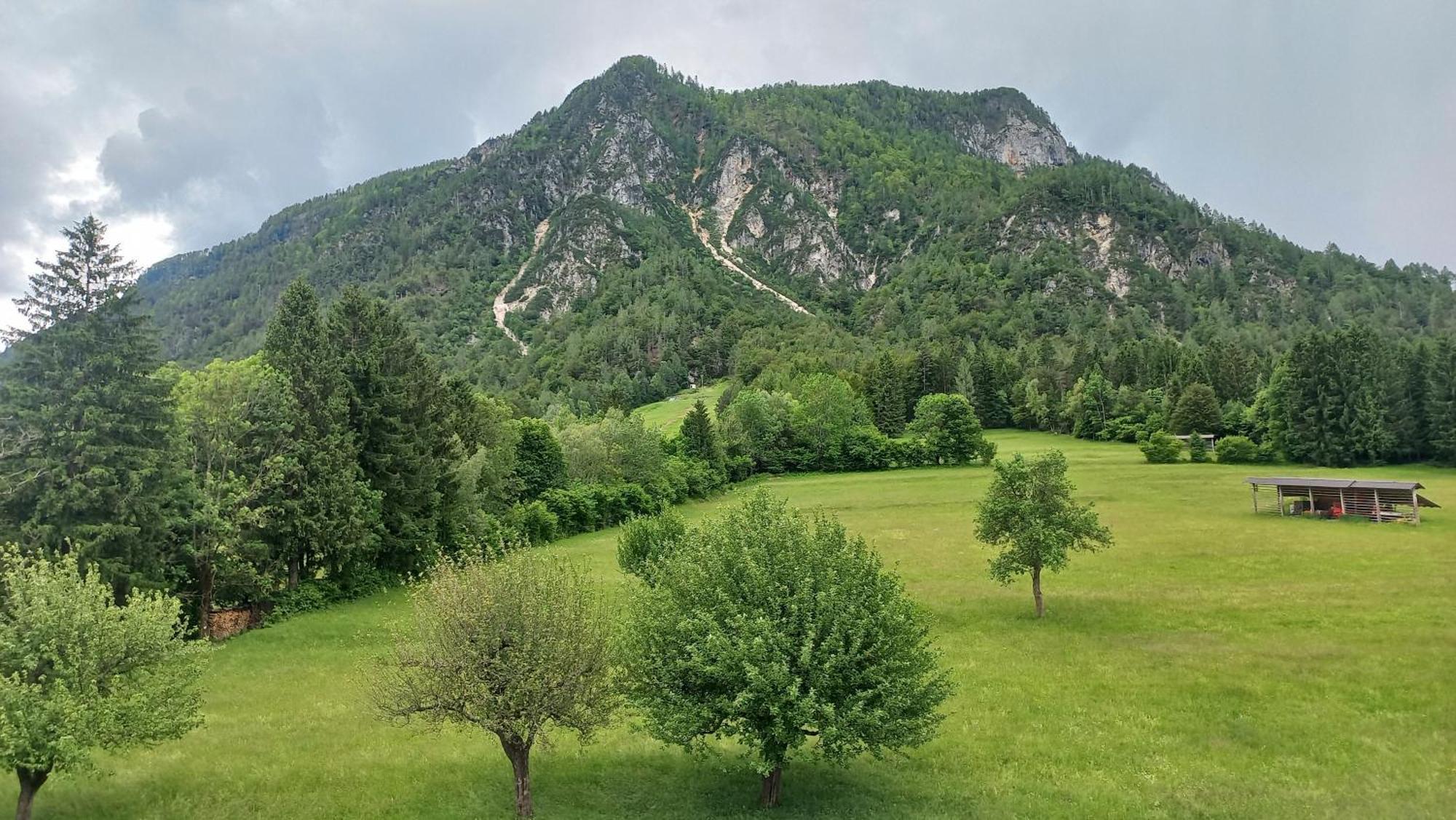 Apartma Rozle Mojstrana Szoba fotó